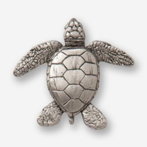 A silver turtle is shown in this picture.