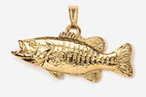 A gold fish pendant is shown in this picture.