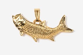 A gold fish is shown in this picture.