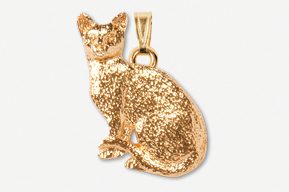 A gold cat is sitting on the ground