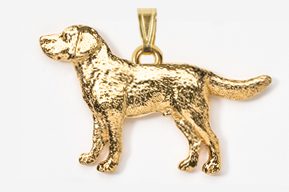 A gold dog is shown in this picture.