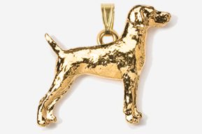 A gold dog is shown in the picture.