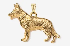 A gold colored dog is shown in profile.