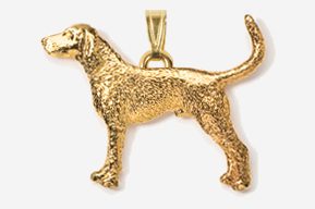 A gold dog is standing in front of the camera.