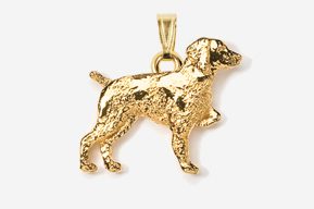 A gold dog is standing on its hind legs.