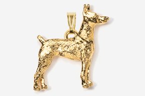 A gold dog is standing in front of the camera.