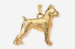 A gold dog is standing in front of the camera.