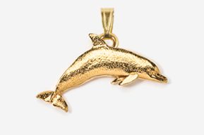 A gold dolphin pendant is shown.