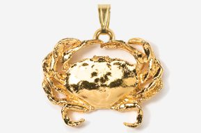 A gold crab pendant is shown in this picture.