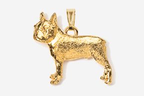 A gold colored dog is shown in this image.