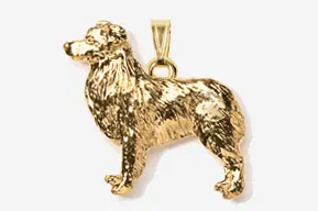 A gold dog is standing in front of the camera.