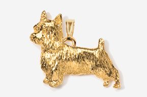 A gold colored dog is shown in this picture.