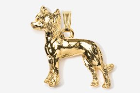 A gold plated dog is shown in this picture.