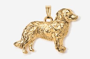 A gold dog is standing in front of the camera.