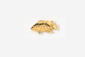 A gold fish is shown on the white background.