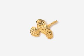 A gold leaf shaped pin on white background.