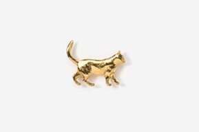 A gold cat is standing on its hind legs.