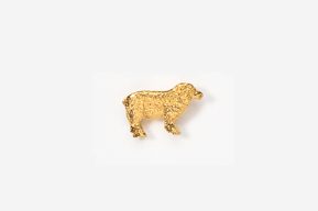 A gold animal is shown on the white background.