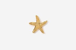 A gold star fish is shown on the white background.