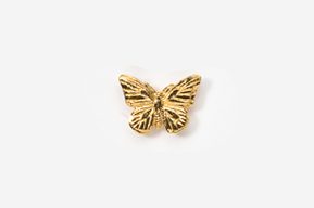 A gold butterfly is sitting on the ground.