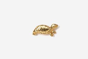 A gold turtle pin is shown on top of a white background.