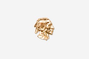 A gold colored pin with an indian head.