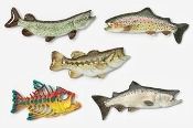 Hand Painted Freshwater Fish Pins